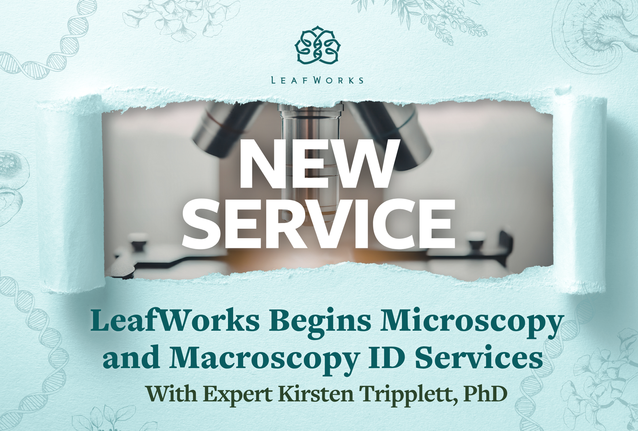 LeafWorks Begins Microscopy and Macroscopy ID Services With Expert Kirsten Tripplett