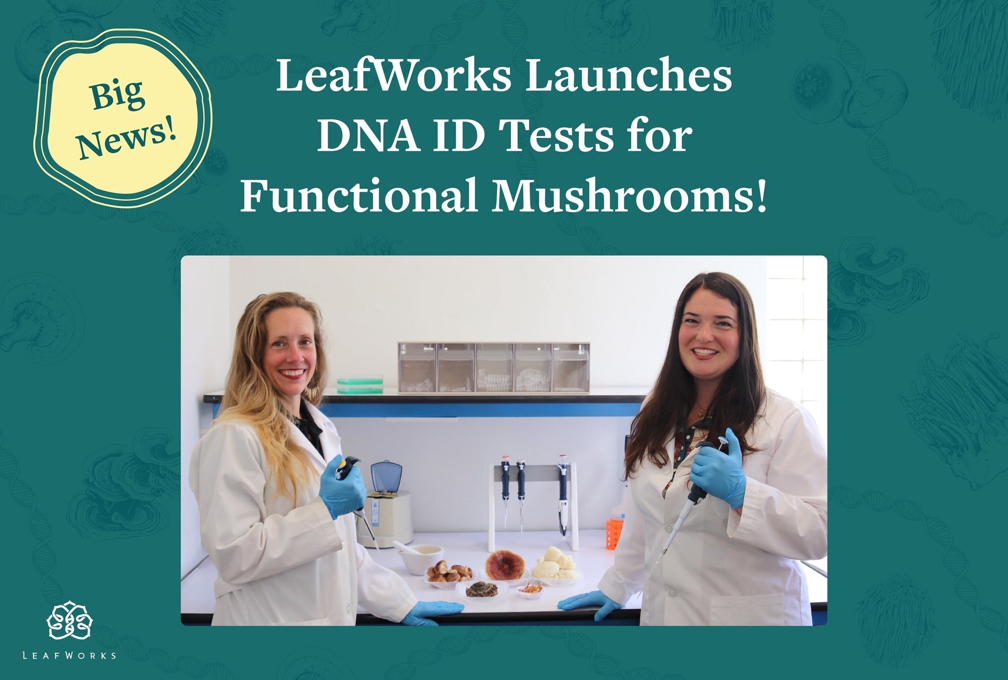 LeafWorks Expands Mushroom DNA Testing Portfolio to Cover Majority of Market