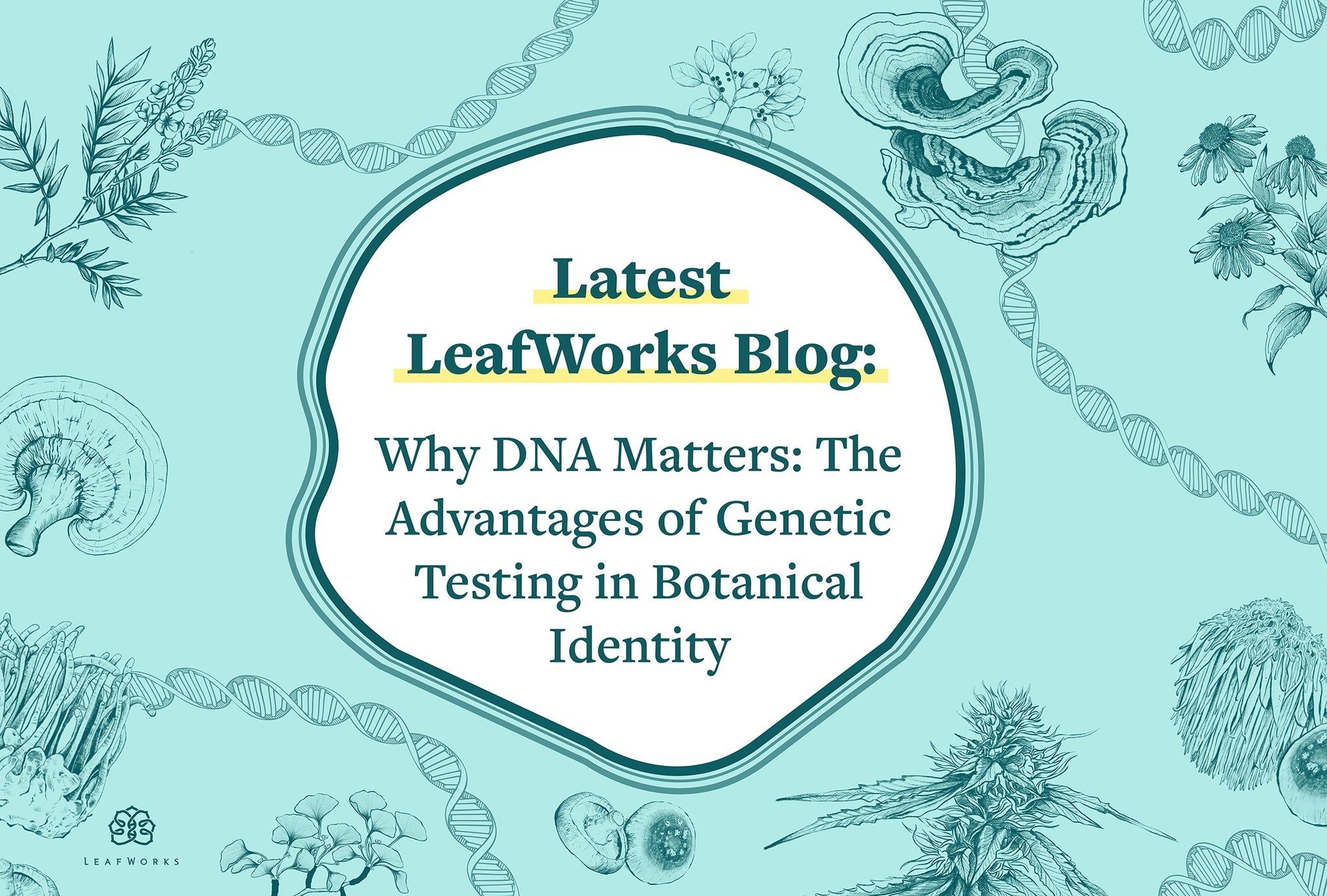 Why DNA Matters: The Advantages of Genetic Testing in Botanical Identity