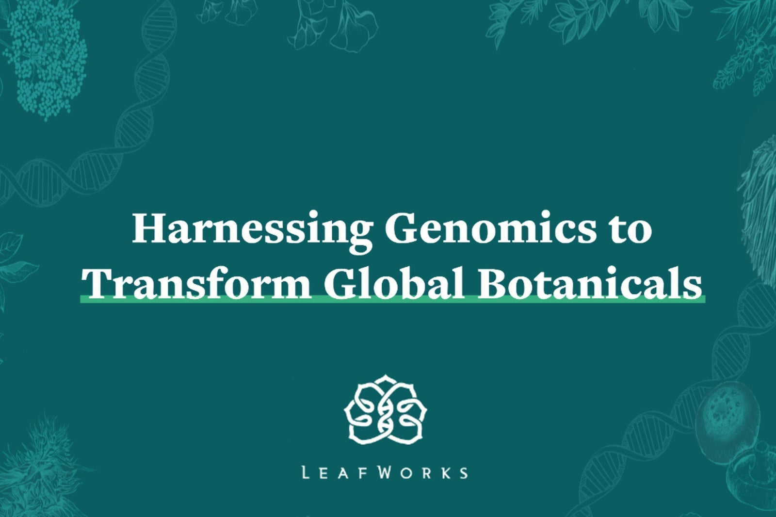 Redefining DNA Testing with LeafWorks: A New Era of DNA ID Solutions