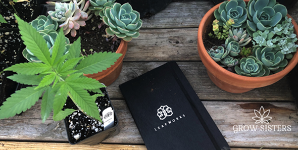 LeafWorks Testing Info
