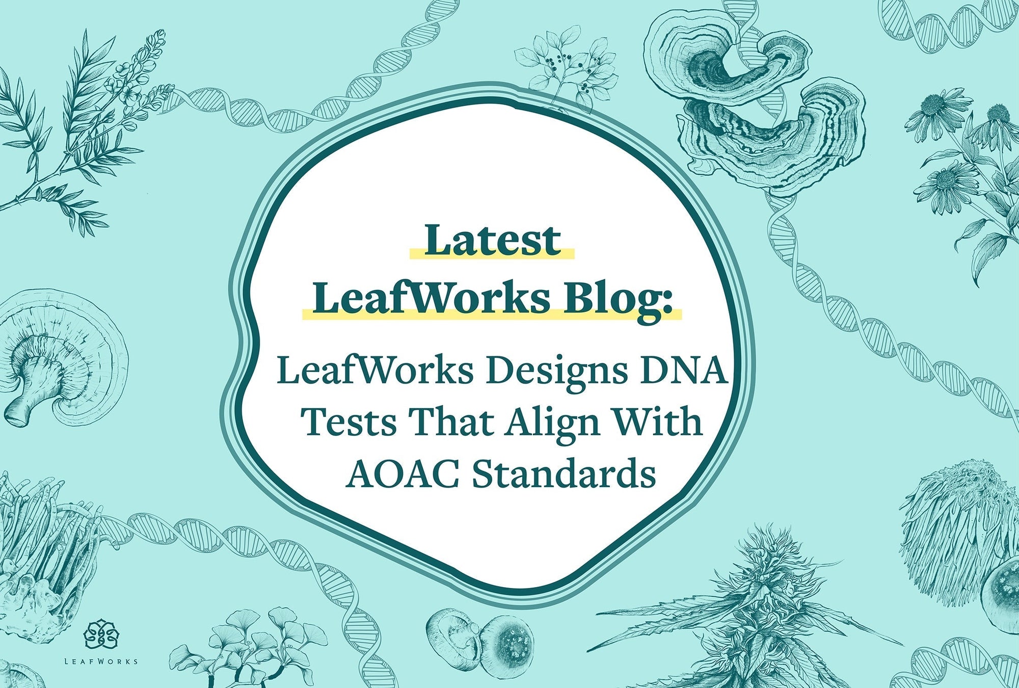 
                  LeafWorks Designs DNA Tests That Align With AOAC Standards
                