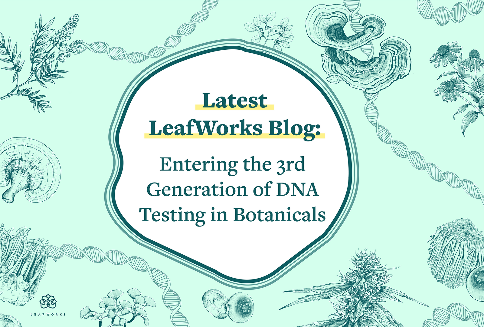 
          Entering the 3rd Generation of DNA Testing in Botanicals
        