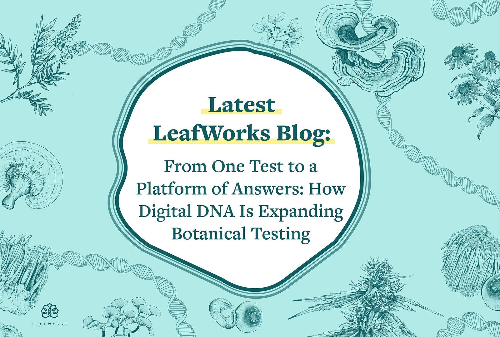 
          From One Test to a Platform of Answers: How Digital DNA Is Expanding Botanical Testing
        
