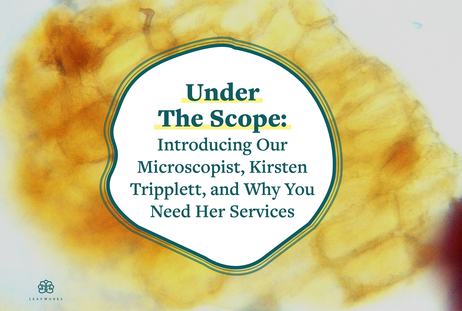 
                  Under the Scope: Introducing Our Microscopist, Kirsten Tripplett, and Why You Need Her Services.
                