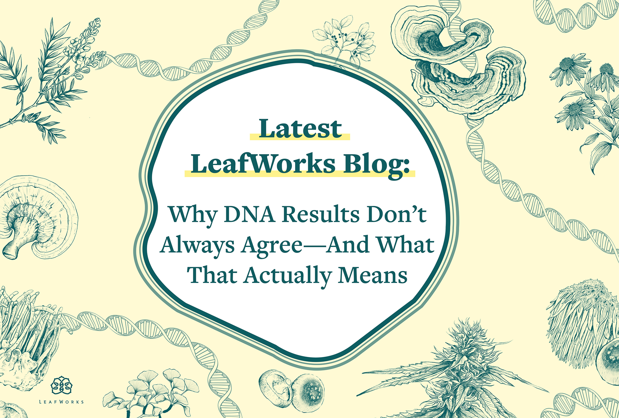 Why DNA Results Don’t Always Agree—And What That Actually Means