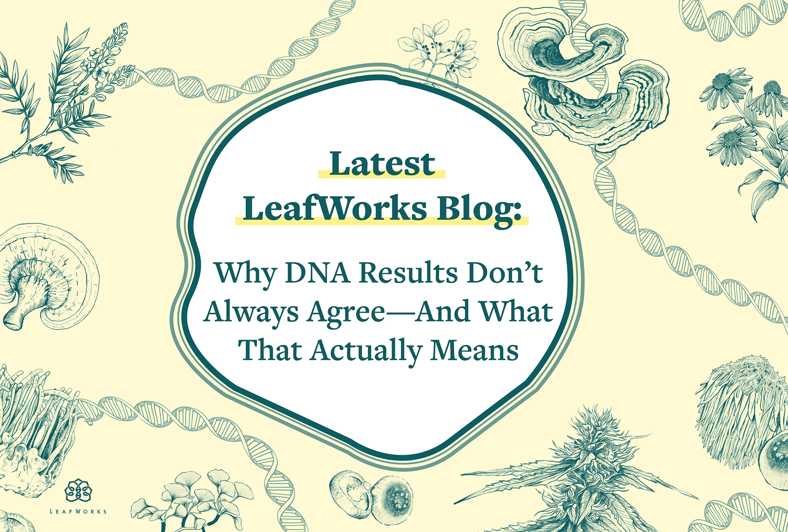 
                  Why DNA Results Don’t Always Agree—And What That Actually Means
                