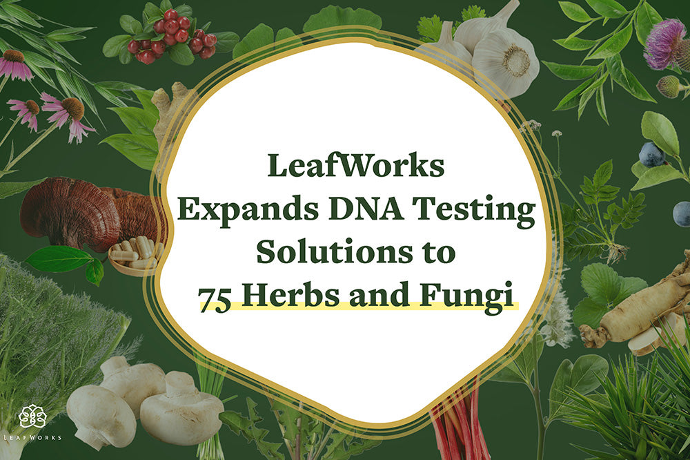 
                  LeafWorks Expands DNA Testing Solutions to 75 Herbs and Mushrooms
                