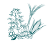 LeafWorks® Adulteration DNA ID Tests