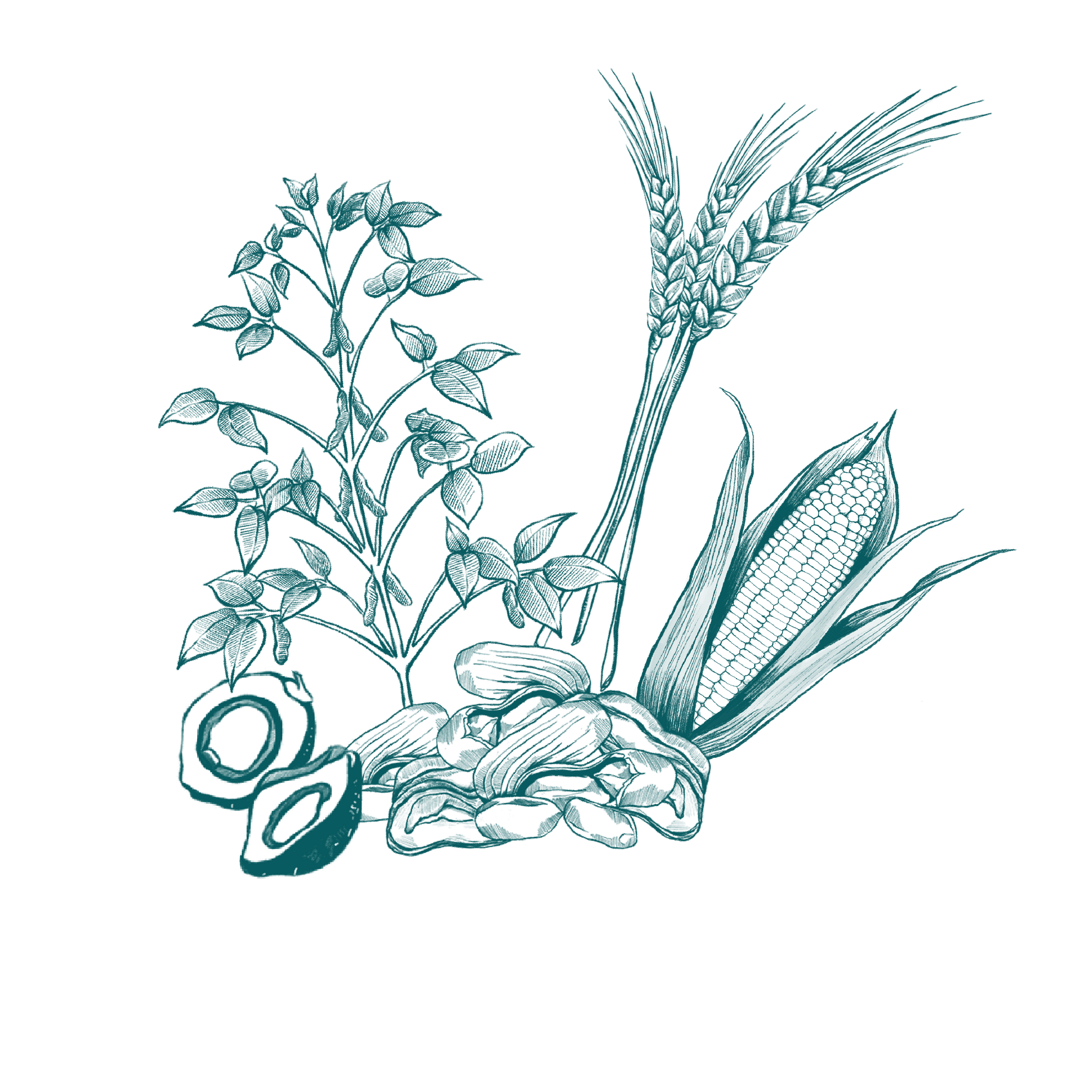 LeafWorks® Adulteration DNA ID Tests