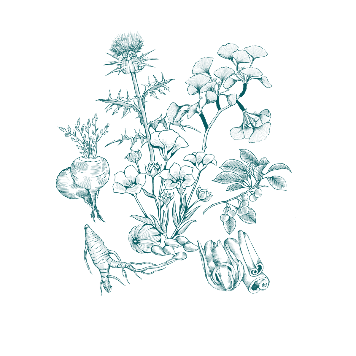 LeafWorks® Botanical DNA ID Tests