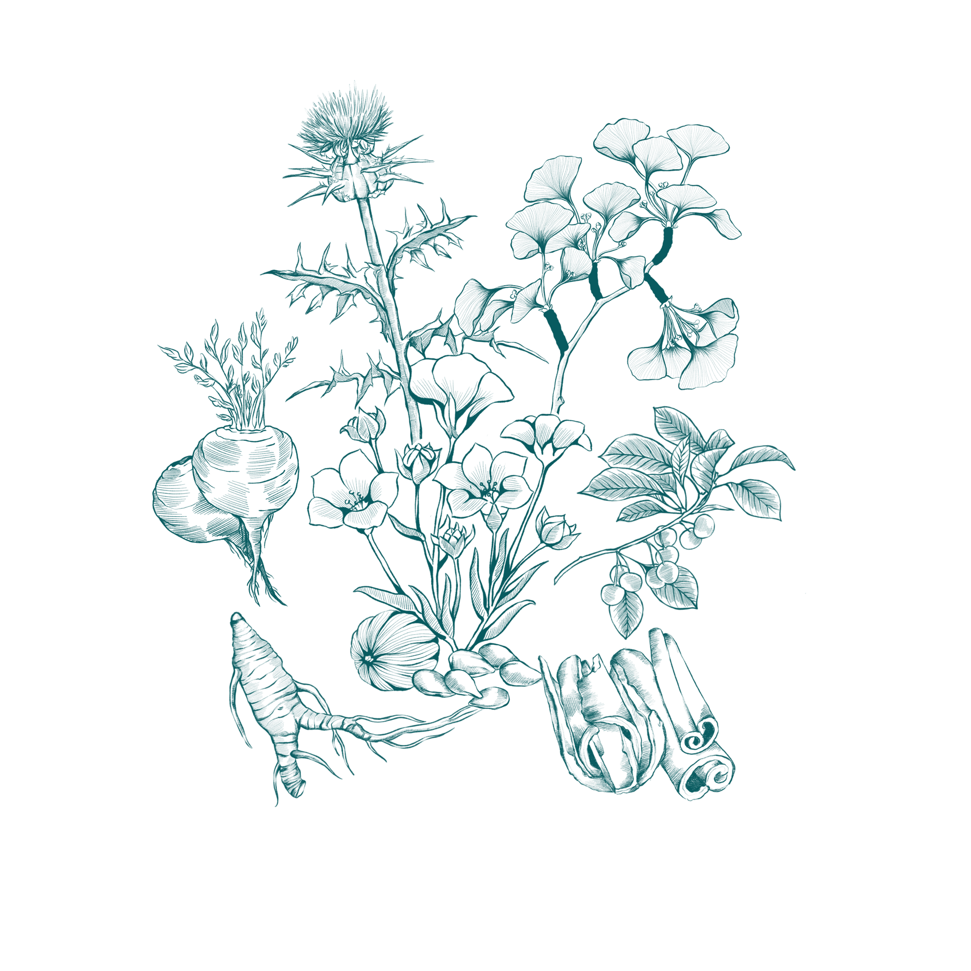 LeafWorks® Botanical DNA ID Tests