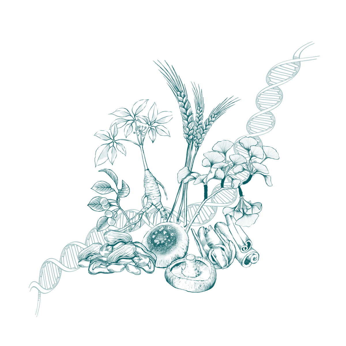 Investigative Botanical R&amp;D Services