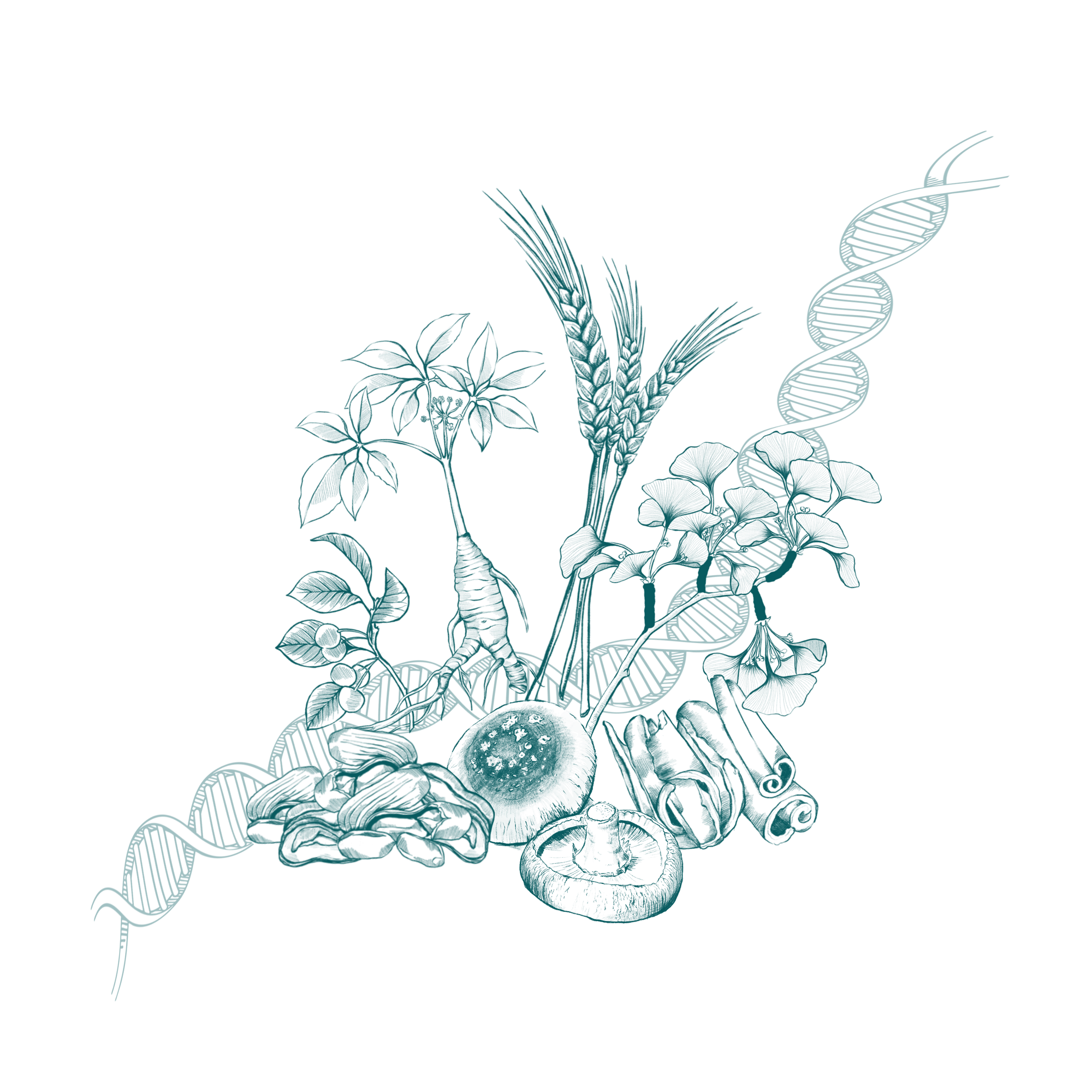 Investigative Botanical R&amp;D Services