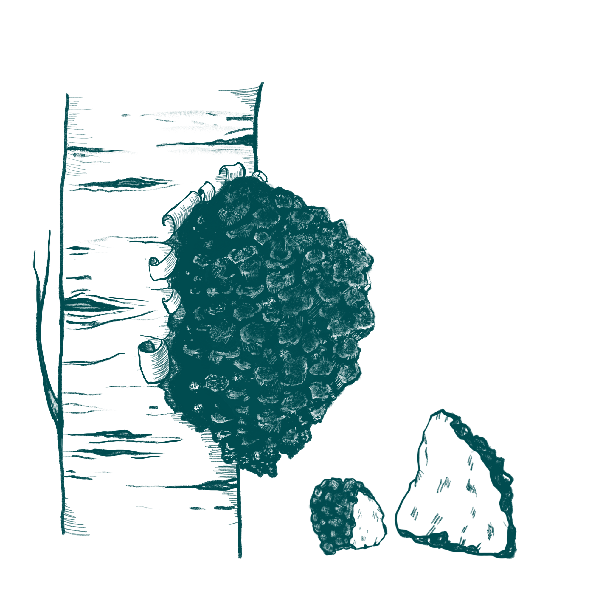 LeafWorks® Chaga DNA ID Test