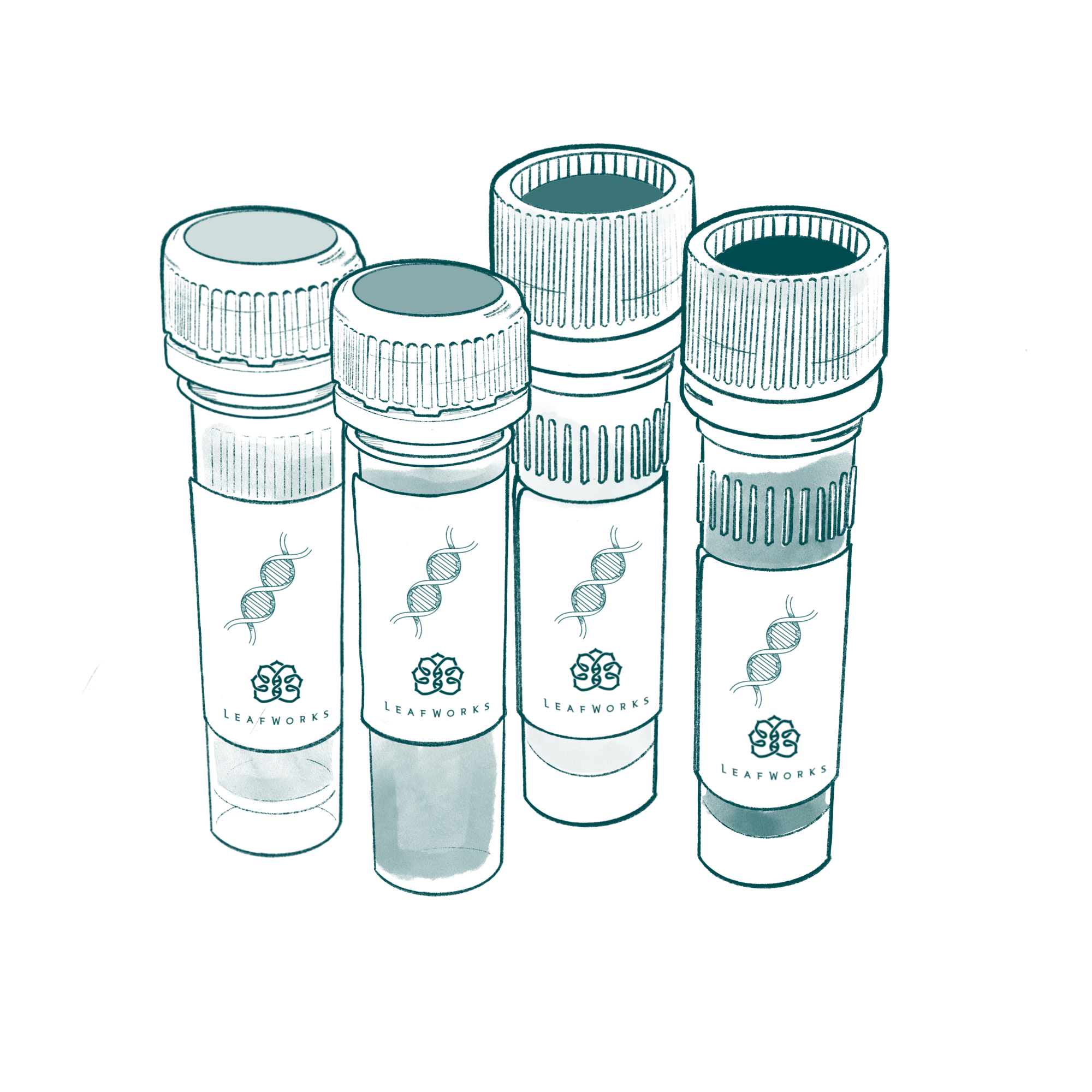 LeafWorks® DNA/RNA Extraction Kit