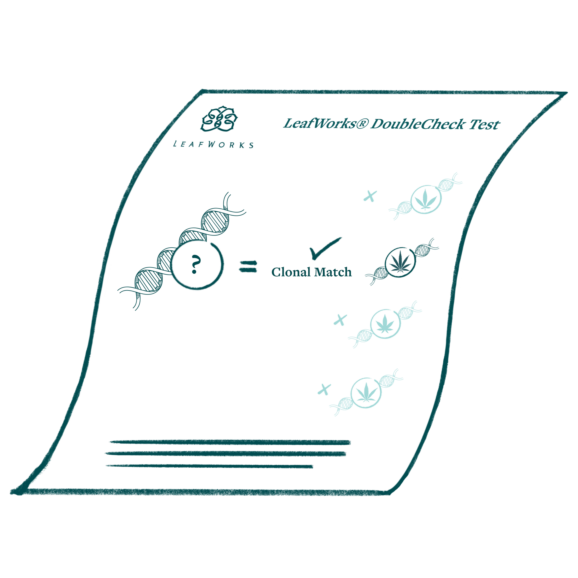 LeafWorks® DoubleCheck Test