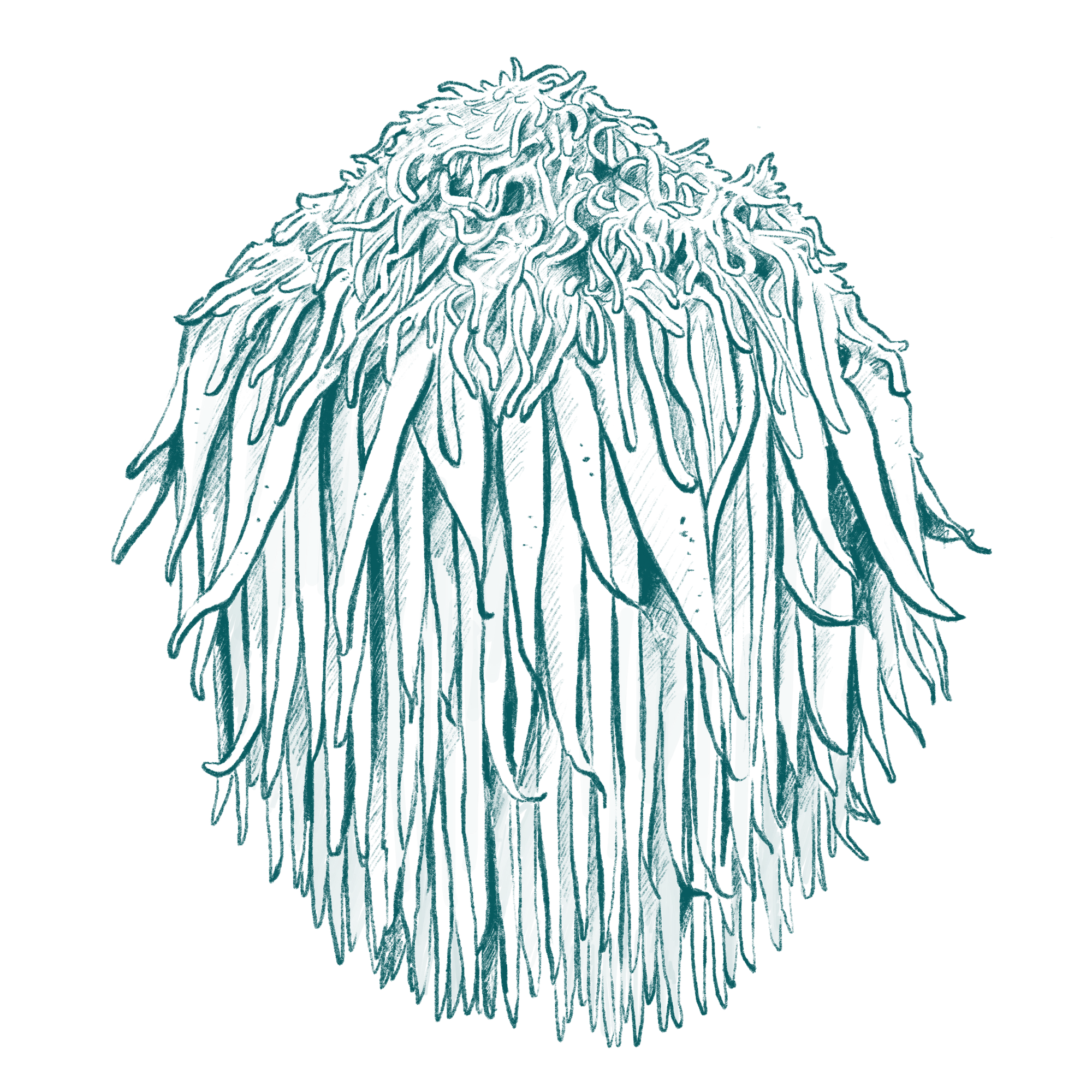 LeafWorks® Lion&#39;s Mane DNA ID Test