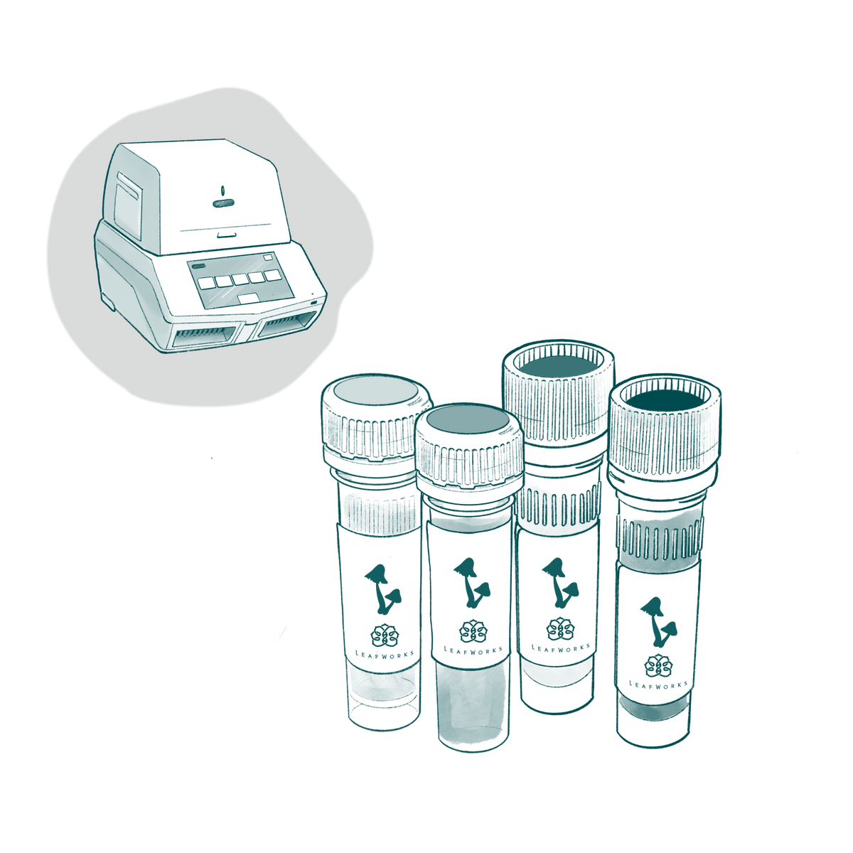 Mushroom DNA ID Reagent Kits