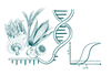LeafWorks® Ingredient Quantification Testing