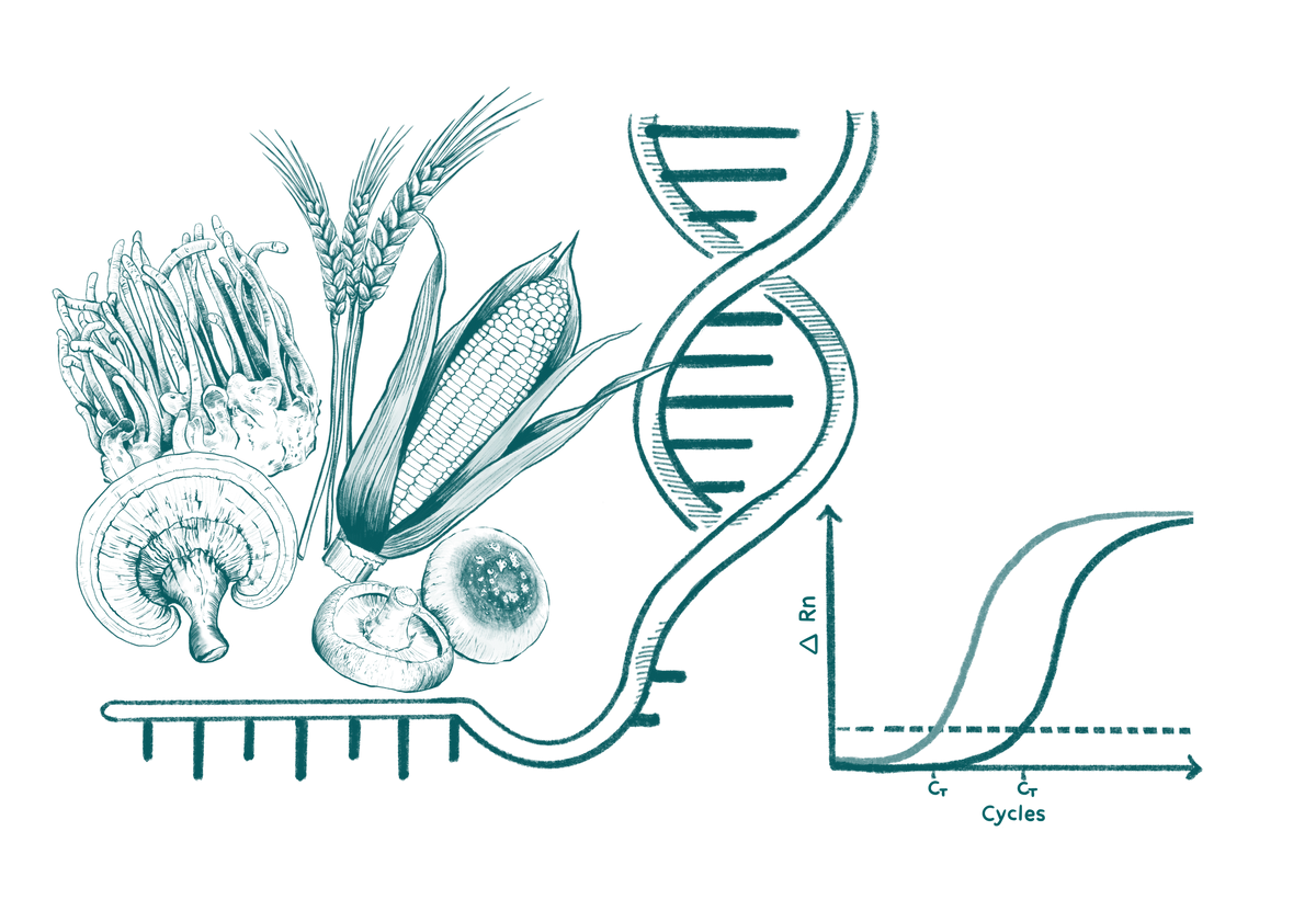 LeafWorks® Ingredient Quantification Testing