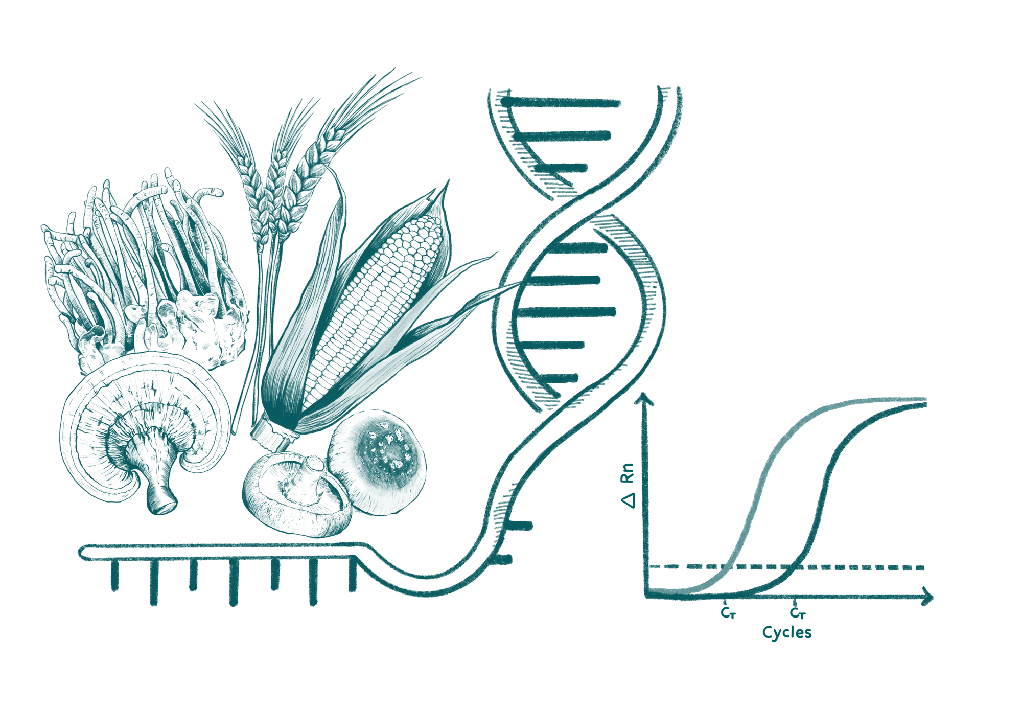 LeafWorks® Ingredient Quantification Testing