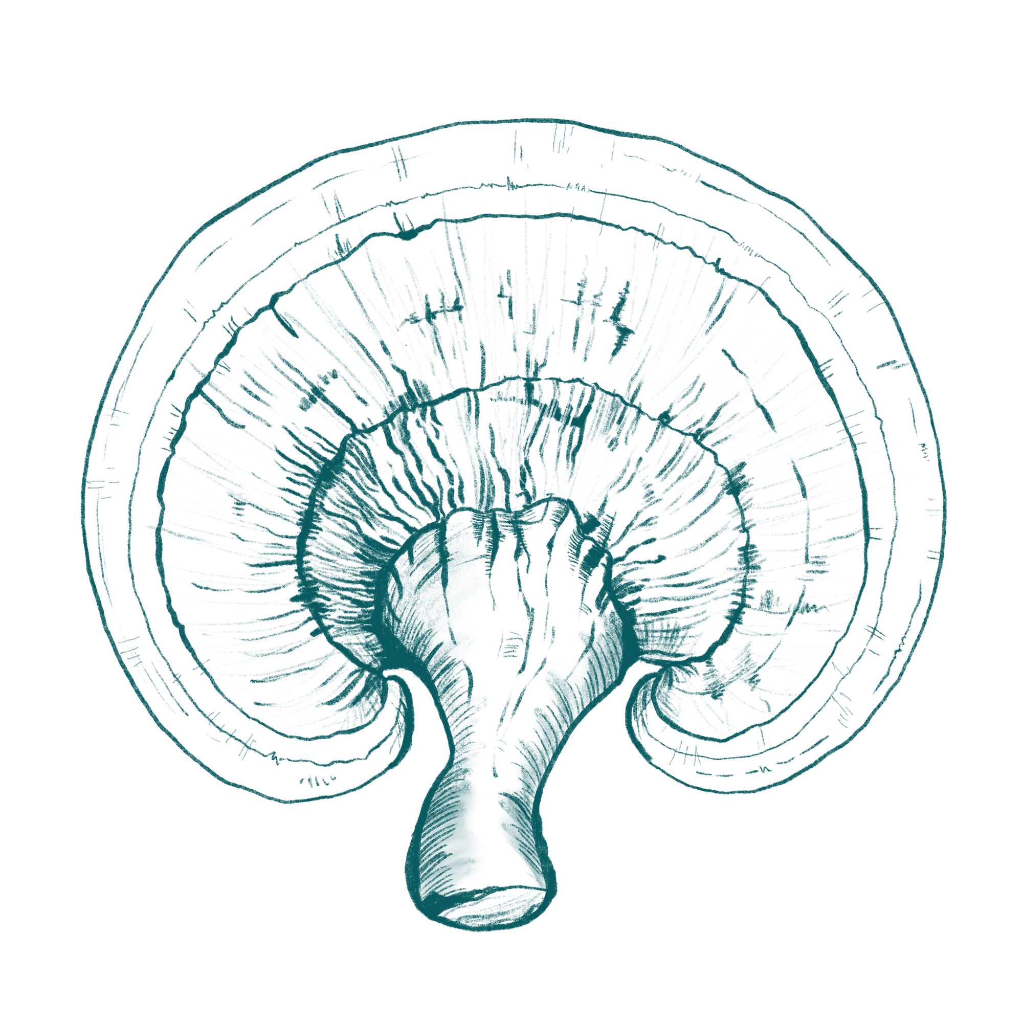 LeafWorks® Reishi DNA ID Test