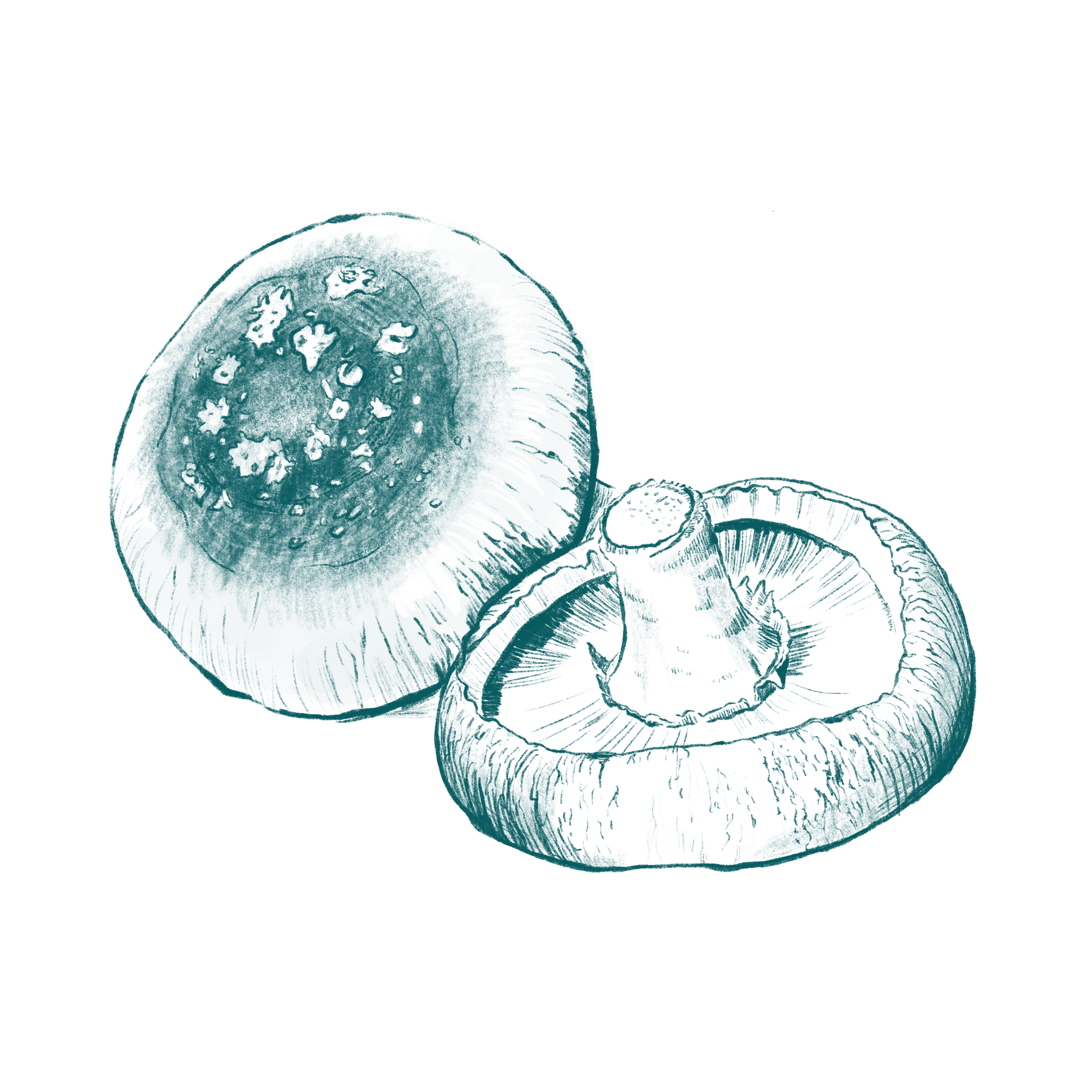 LeafWorks® Shiitake DNA ID Test