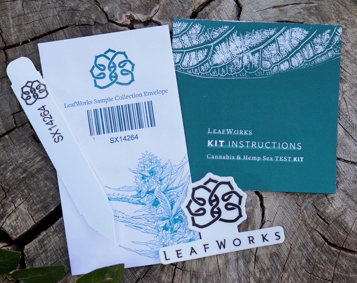 The LeafWorks Cannabis and Hemp Sex Test kit includes a collection envelope, plant stake, and instructions.